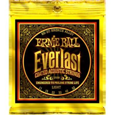 Ernie Ball 2558 EVERLAST COATED BRONZE LIGHT