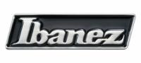 BANEZ Logo Pin - Black & Silver Logo